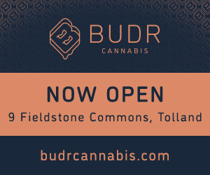 BUDR, Tolland
